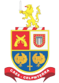 brasoes-390X546-CAES