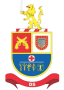 brasoes-390X546-DS